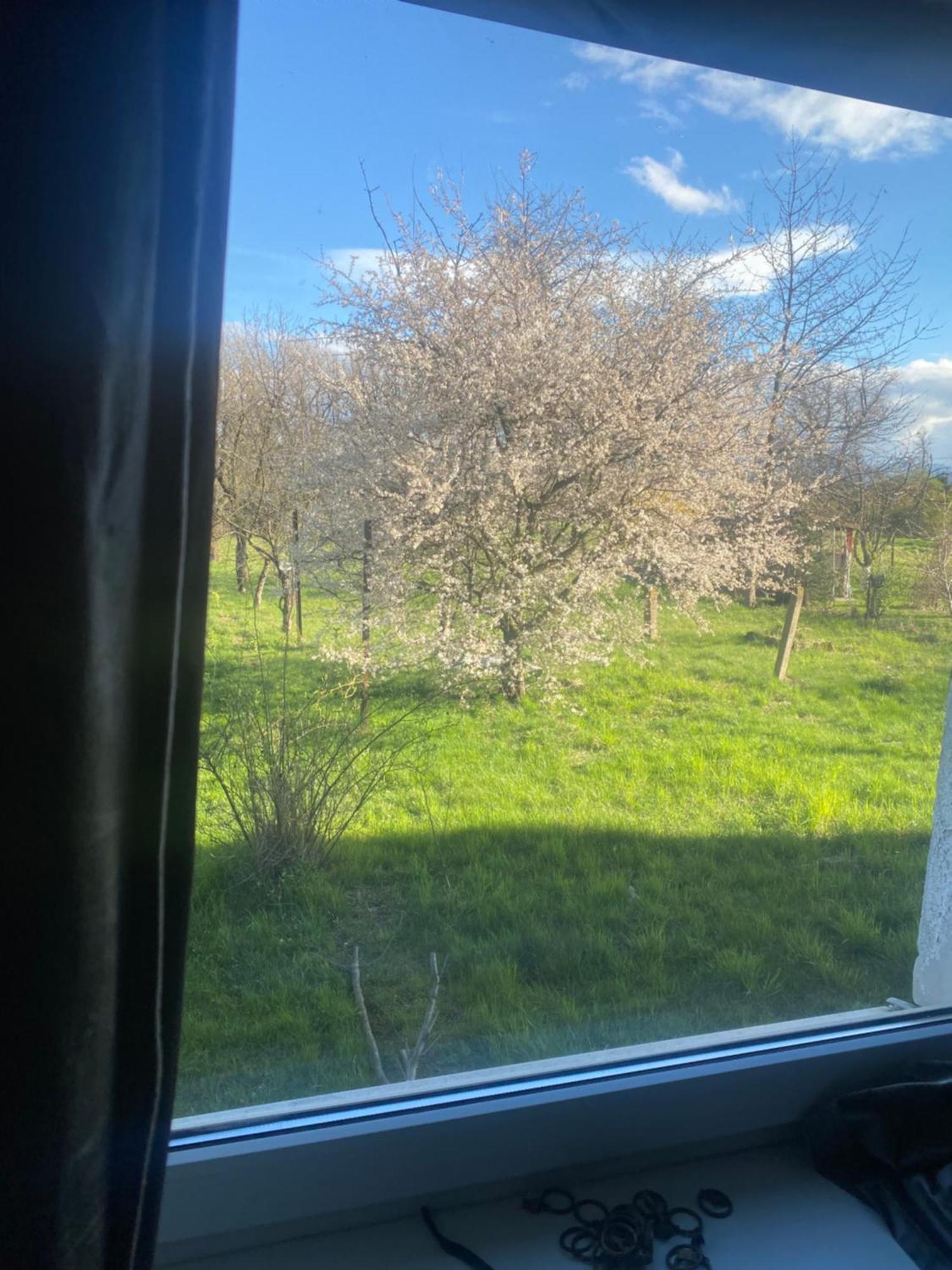 Apartamenty Ciukaj Paczkow Kültér fotó
